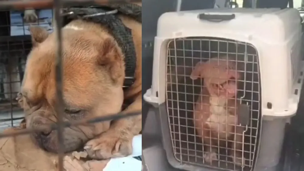 portada página web (9)